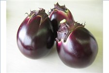 ۂȂ 20ʓ 5kg