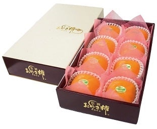 nY` iG2L 8ʁj11{菇\聚POO