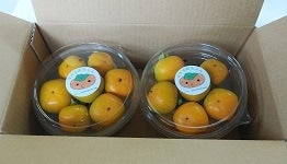 VnY@~j`ixr[p[VjTOZbg@PO{甭\
