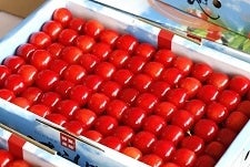 VYځiсj500gU{`oח\yQOz