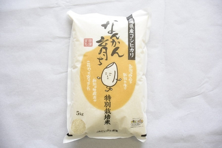 なんかん米特別栽培米　5ｋｇ　令和3年産新潟県産コシヒカリ