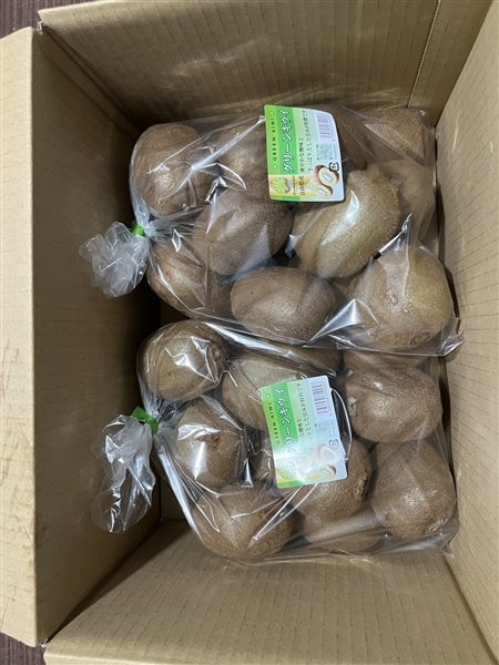 氷見キウイランドのキウイ(ヘイワード)大玉2L〜4Lサイズ 4kg