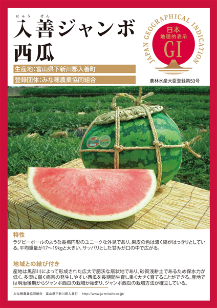60個限定！！】入善ジャンボ西瓜3Lサイズ(約17～19kg): 『越中自慢