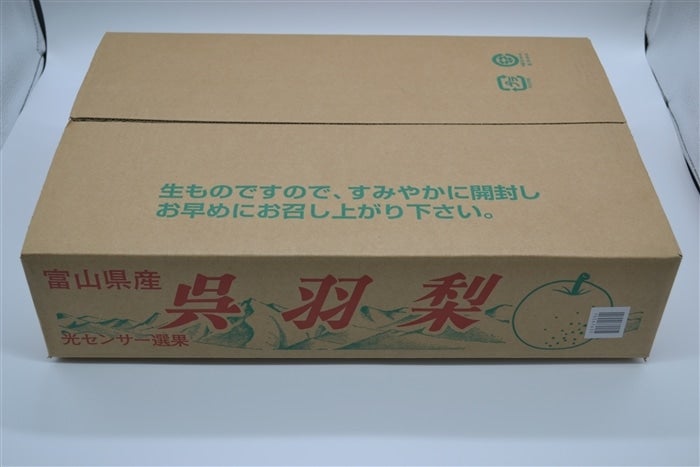 2021高い素材 希少 秀品 富山県産 呉羽幸水梨５〜６玉入り箱