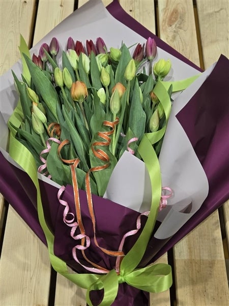 農事組合法人前山さんのチューリップ切花40本: 『越中自慢』|【JA