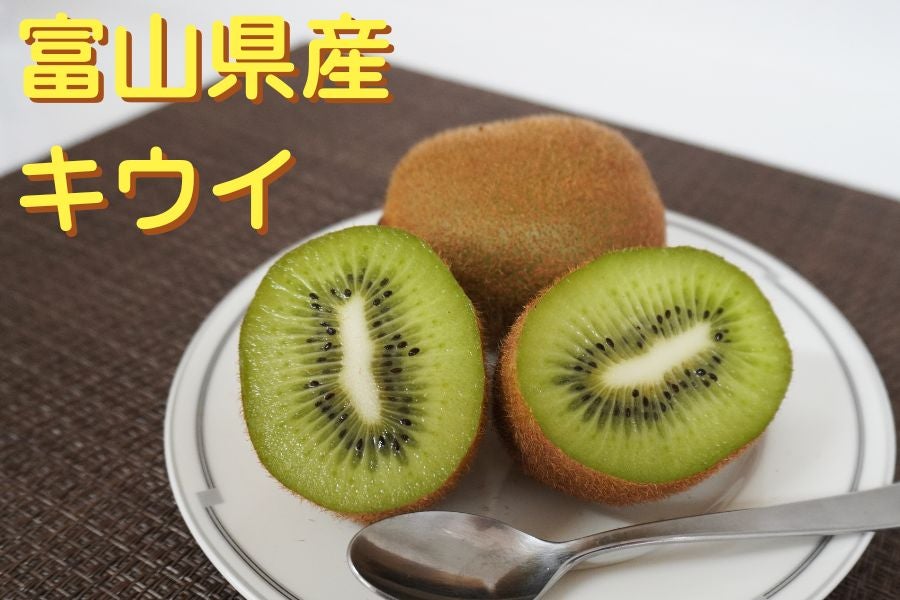 氷見キウイランドのキウイ(ヘイワード)大玉2L〜4Lサイズ 4kg