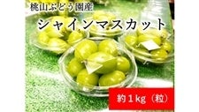 シャインマスカット粒1kg｜Yahoo!フリマ（旧PayPayフリマ）
