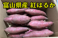 氷見のさつまいも(紅はるか)4.5kg箱入り