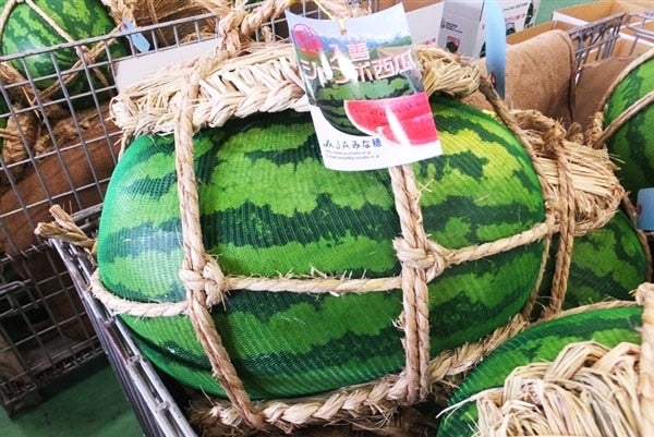 y60IIzPW{Z2kTCY