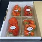  (�L)�A�O���S�[���h��؂���̂������@�����g�ق��؁E��ڂ��E������쁚���i4�p�b�N�j