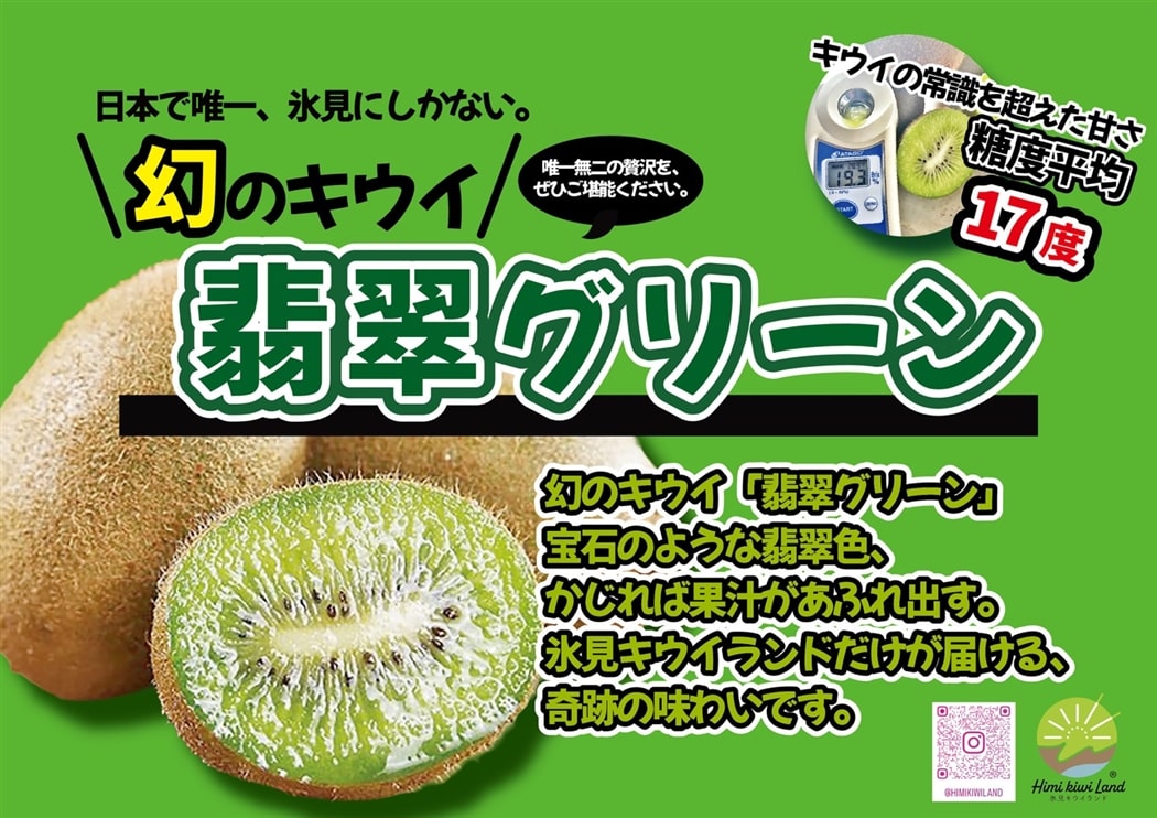 氷見キウイランドのキウイ（翡翠グリーン） 大玉1kg（9～12玉