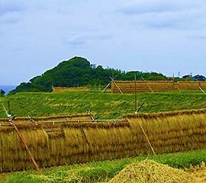 令和3年産 能登棚田米こしひかり （5Kg）: かが・のと味自慢