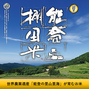 令和7年産 能登棚田米こしひかり (5Kg)