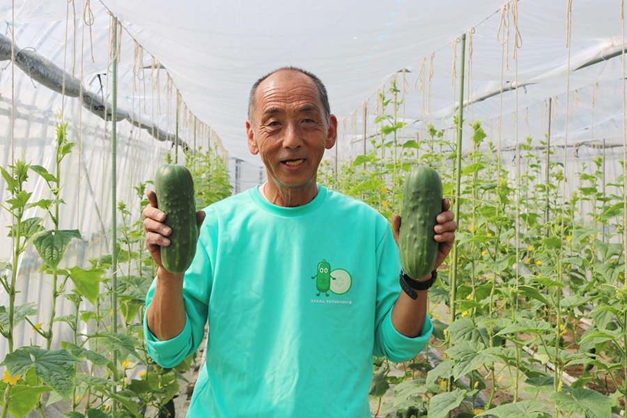 加賀太きゅうり 約5kg (秀M 9本入り): かが・のと味自慢|【JAタウン