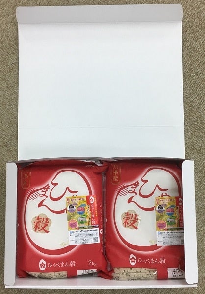 農家応援】贈答用 令和2年産 石川県産 ひゃくまん穀(2kg×2袋