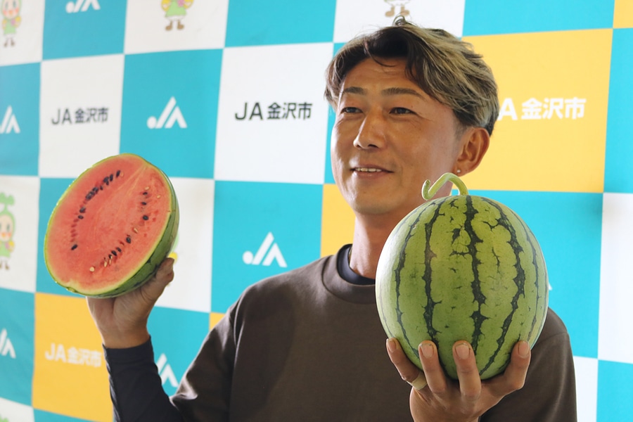 金沢こだま西瓜1玉（秀3L）※7月3日頃より順次発送: かが・のと味自慢
