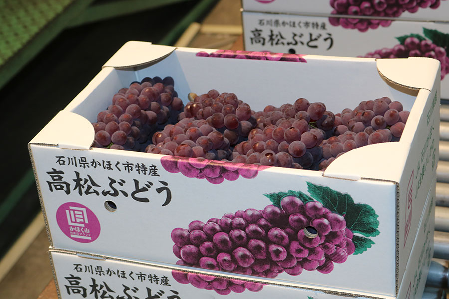 高松ぶどう（デラウェア） 秀2L以上約2kg（9～12房入り）※7月13日頃