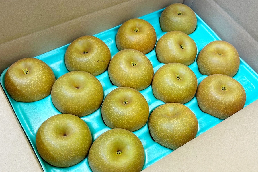 金沢梨「幸水」約5kg（秀14～16玉入）: かが・のと味自慢|【JAタウン