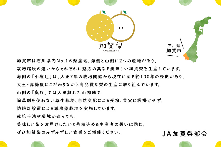 加賀梨 奥谷「幸水」約5kg（秀・大玉10～12玉）: かが・のと味自慢