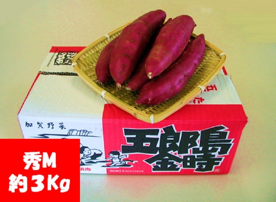 産地直送 通販 お取り寄せ五郎島金時 秀M 約3Kg （約10~13本）: かが・のと味自慢|ＪＡタウン