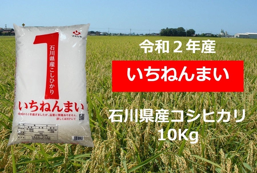農家応援】令和2年産こしひかり いちねんまい 10Kg: かが・のと