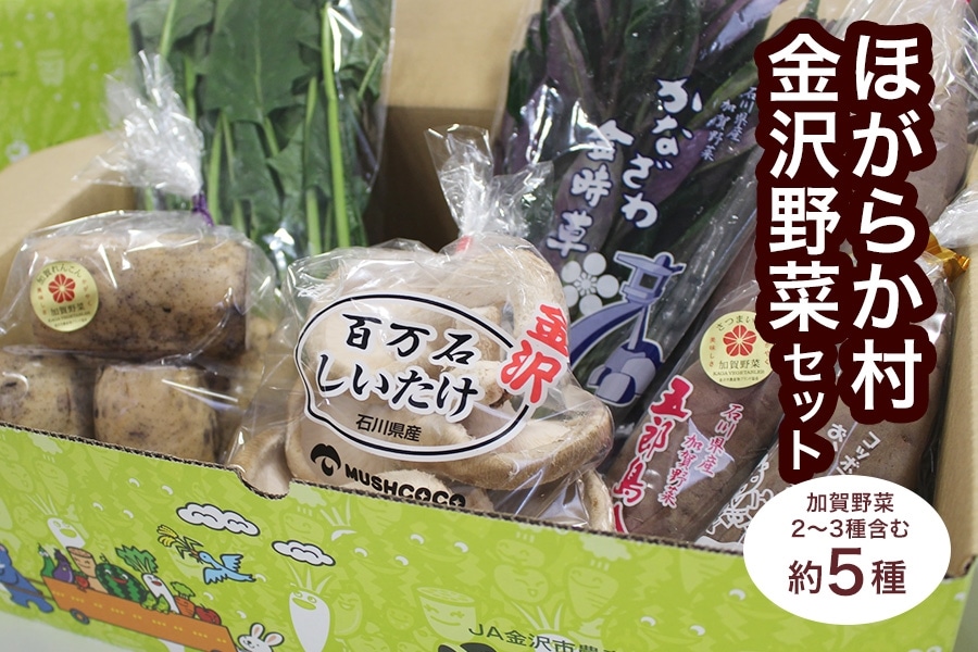 JA金沢市 加賀野菜を含む5種セット: かが・のと味自慢|【JAタウン