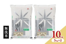 �y�V�āz�ߘa8�N�Y�@�ΐ쌧�Y �����Ђ���@�ꗱ�̂���߂�  �����āi5kg×2�܁j