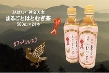 yԘAgzi`͂u_Vi݂Ăɂj܂邲Ƃ͂Ƃނvybg{g@500ml×24{