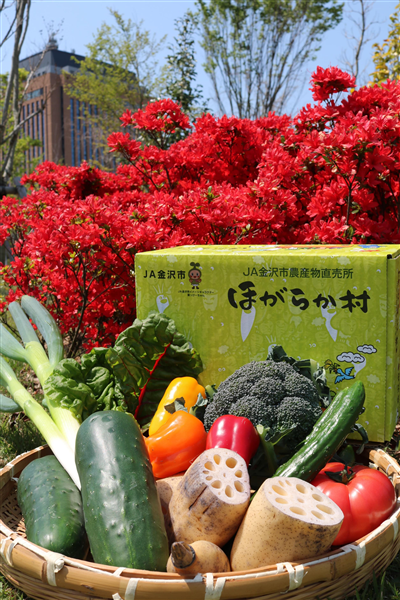 yΐ쌧YCPzق炩؃Zbgi2`3܂ޖ10j