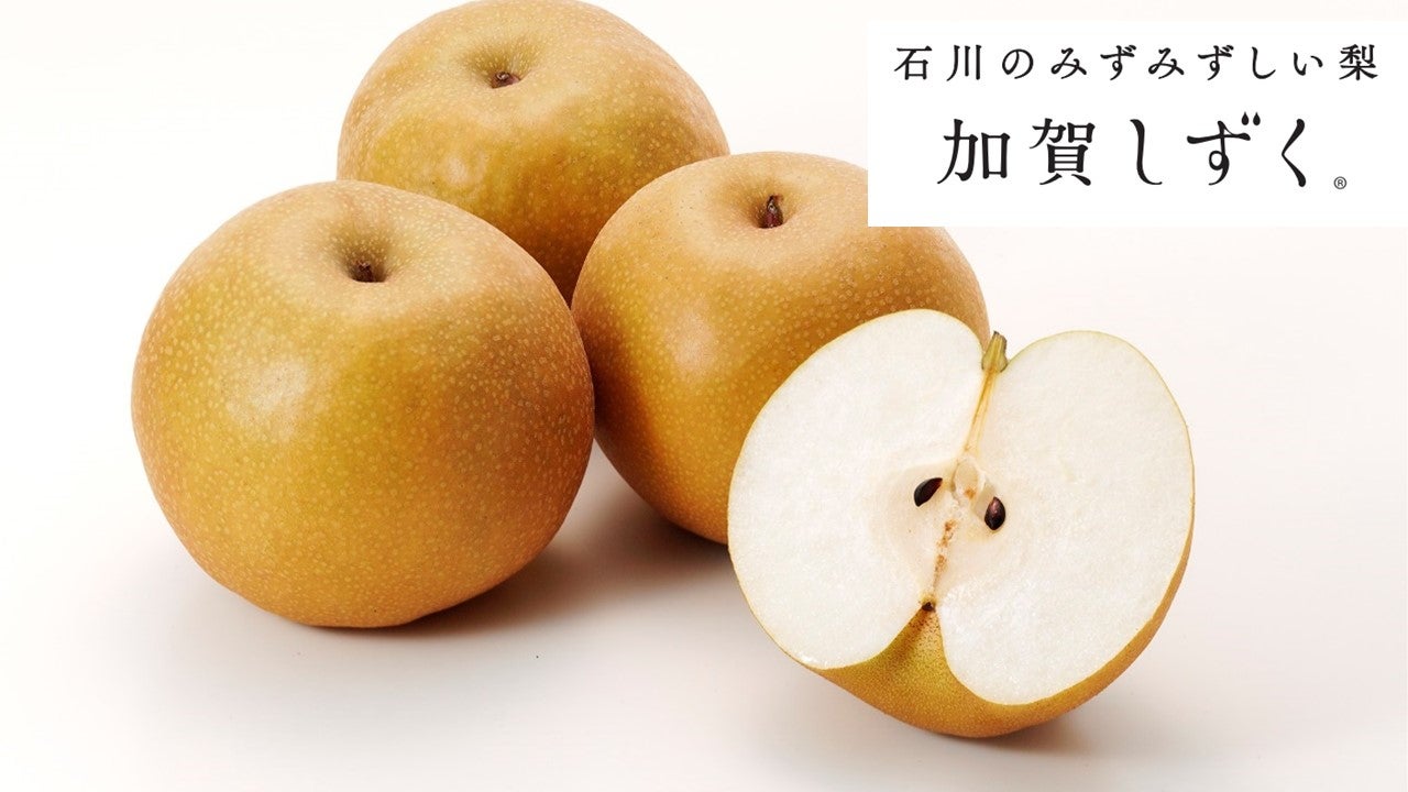 ꂵ@GV`XʓiTj