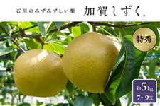 梨「加賀しずく」約5kg（特秀7～9玉入）: かが・のと味自慢|【JA