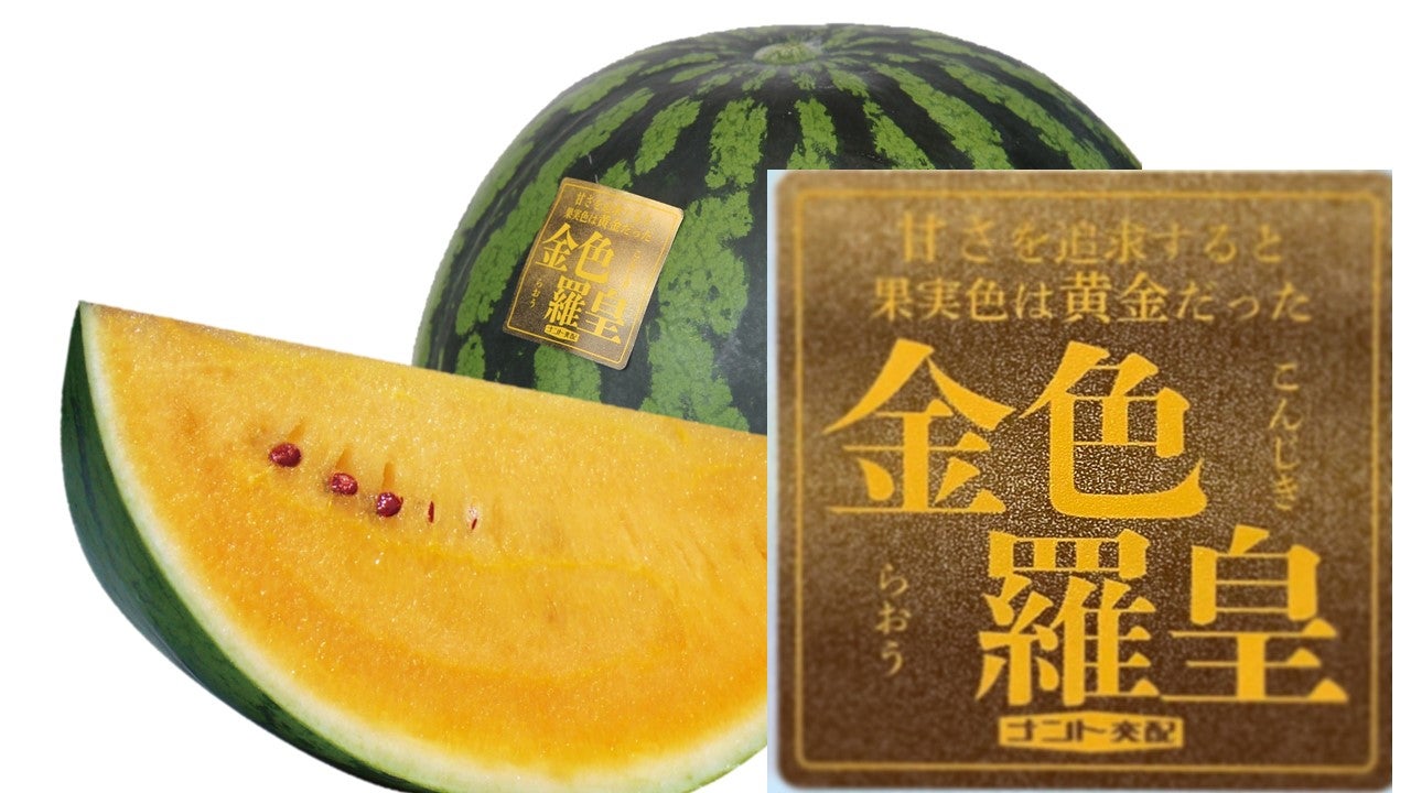yF̉ʓ̂܁[zFc@͂V`