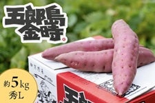 yΐ쌧YCPzܘY 5kg GL(12`14{)