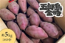 �ܘY������ ��5kg �R����