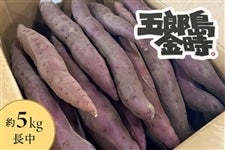 �ܘY������ ��5kg ����