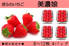 �򕌂������u���Z���v���ƒ�p�i9�`15��×4�p�b�N�j