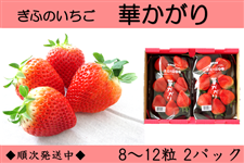 �򕌂������u�؂�����v���ƒ�p�@(2L(8���`12��)×2�p�b�N)