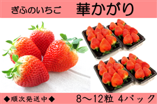 �򕌂������u�؂�����v���ƒ�p�@(2L(8���`12��)×4�p�b�N)