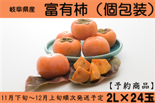 【予約】岐阜県産 富有柿 2L×24玉入