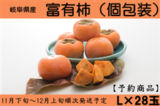 y\z򕌌Y xL` L×28ʓ