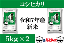 yVāzӂ̕āu򕌃RVqJvPOi5kg×2j