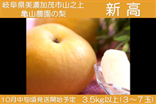 y2024N̔IzyZΎsRVz@V@yTR_z