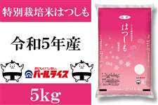【令和５年産】特別栽培米「レンゲハツシモ」5�s