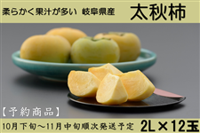 y\z򕌌Y H` 2L×24ʓ