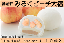 yԌz{V@݂邭s[`啟@10