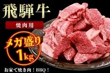 飛騨牛 メガ盛り 焼肉用 1kg