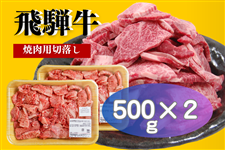 ˋ K ēp 1k(500×2)