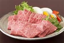 yzˋ [X ēp800g (400g×2)