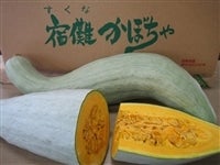 hTڂ 10kg(4{)