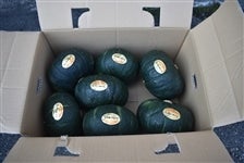  hT̂߂ 10kg(5)